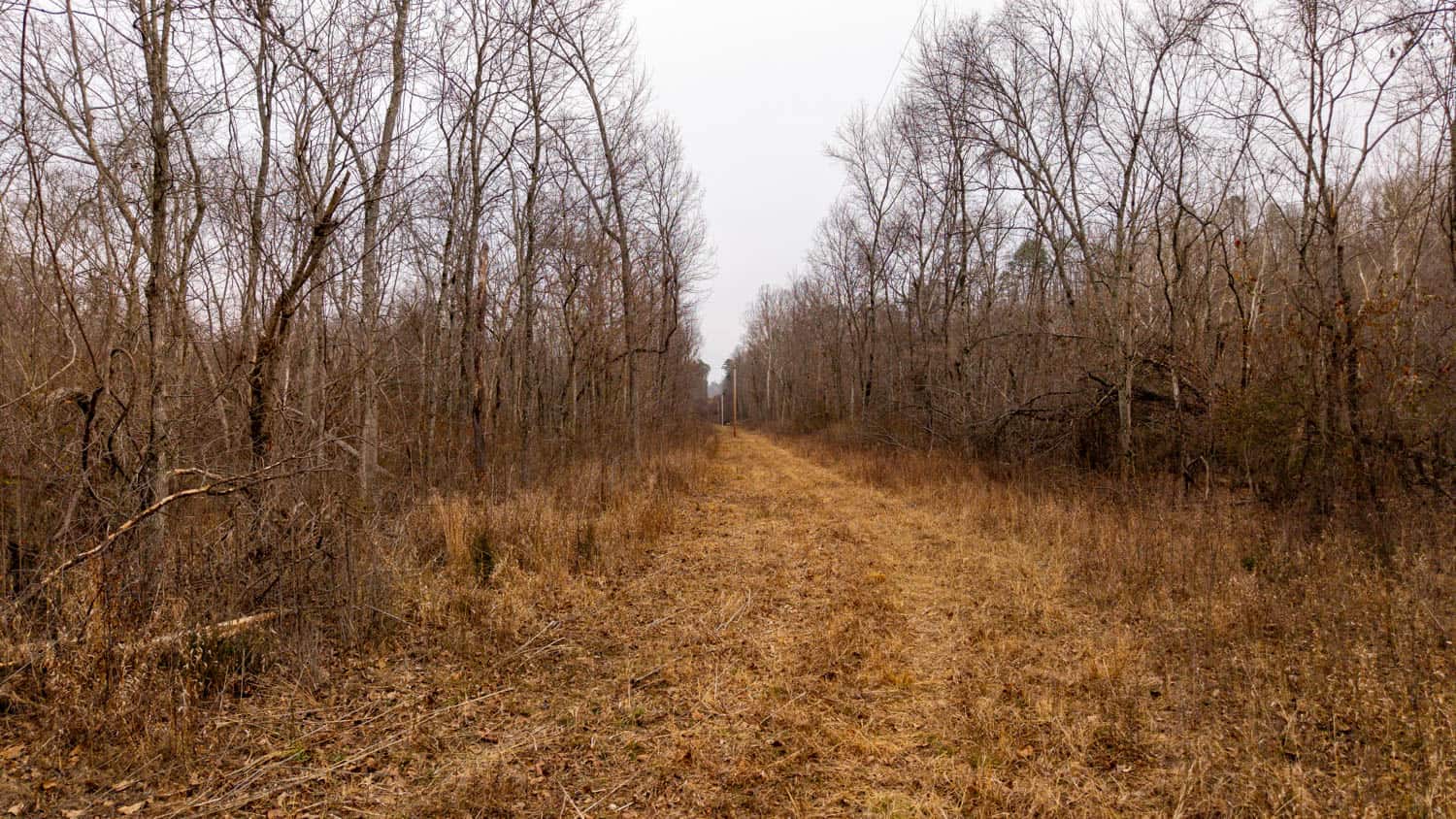 000 County Road 19-A, Alton, Missouri