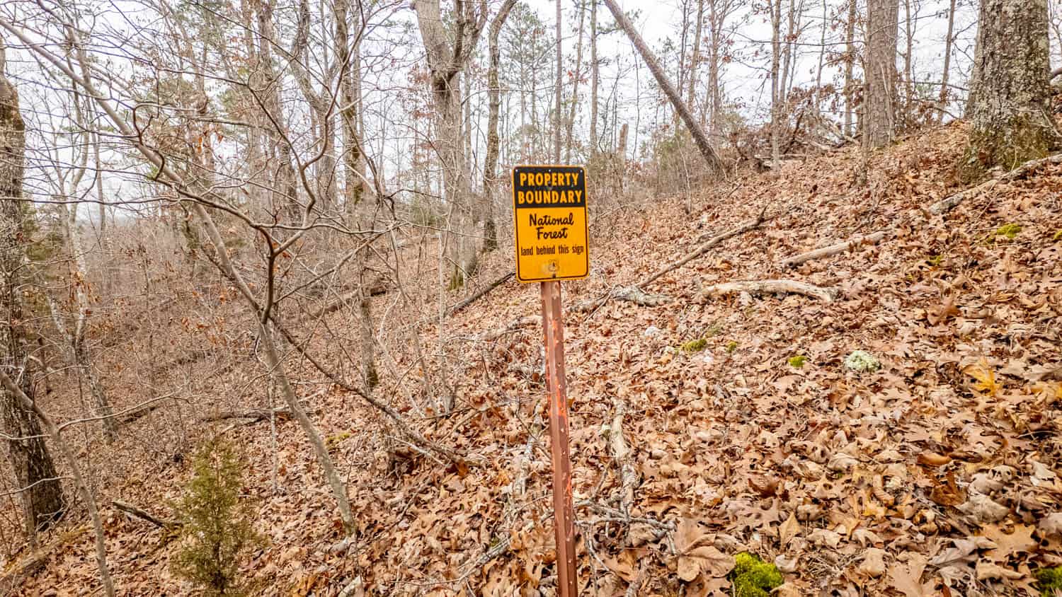 000 County Road 19-A, Alton, Missouri