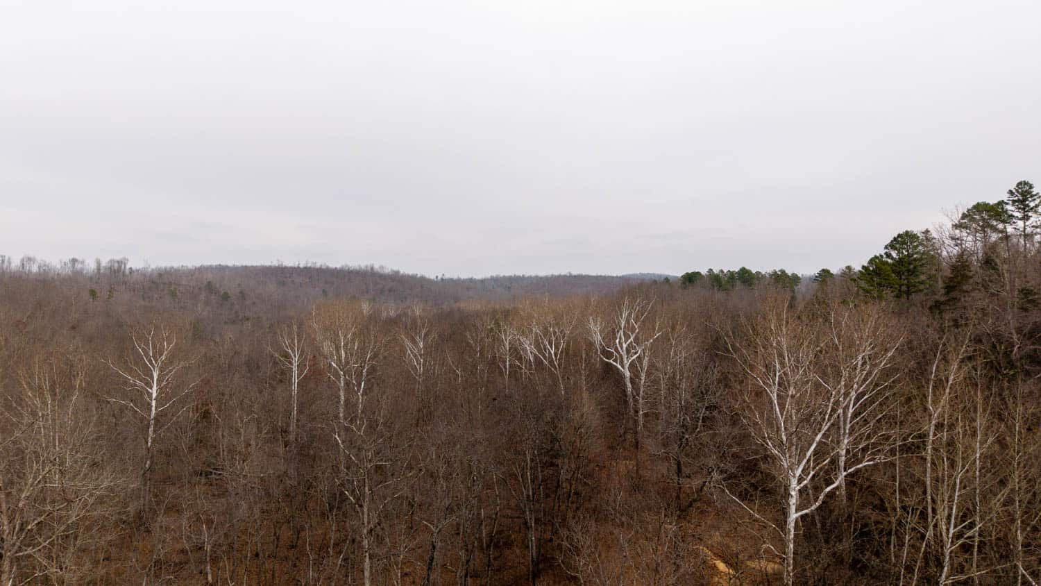 000 County Road 19-A, Alton, Missouri