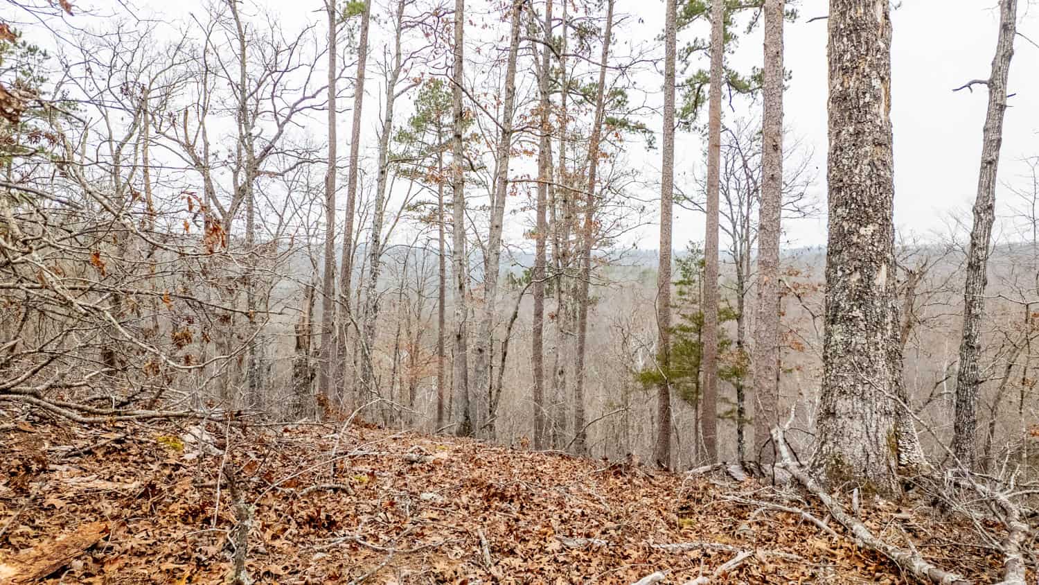 000 County Road 19-A, Alton, Missouri