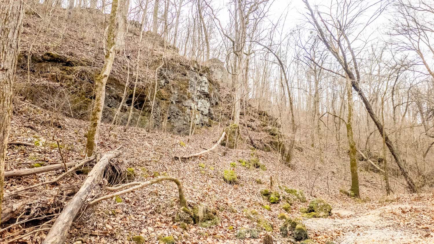 000 County Road 19-A, Alton, Missouri