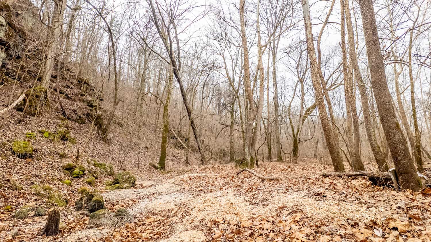 000 County Road 19-A, Alton, Missouri