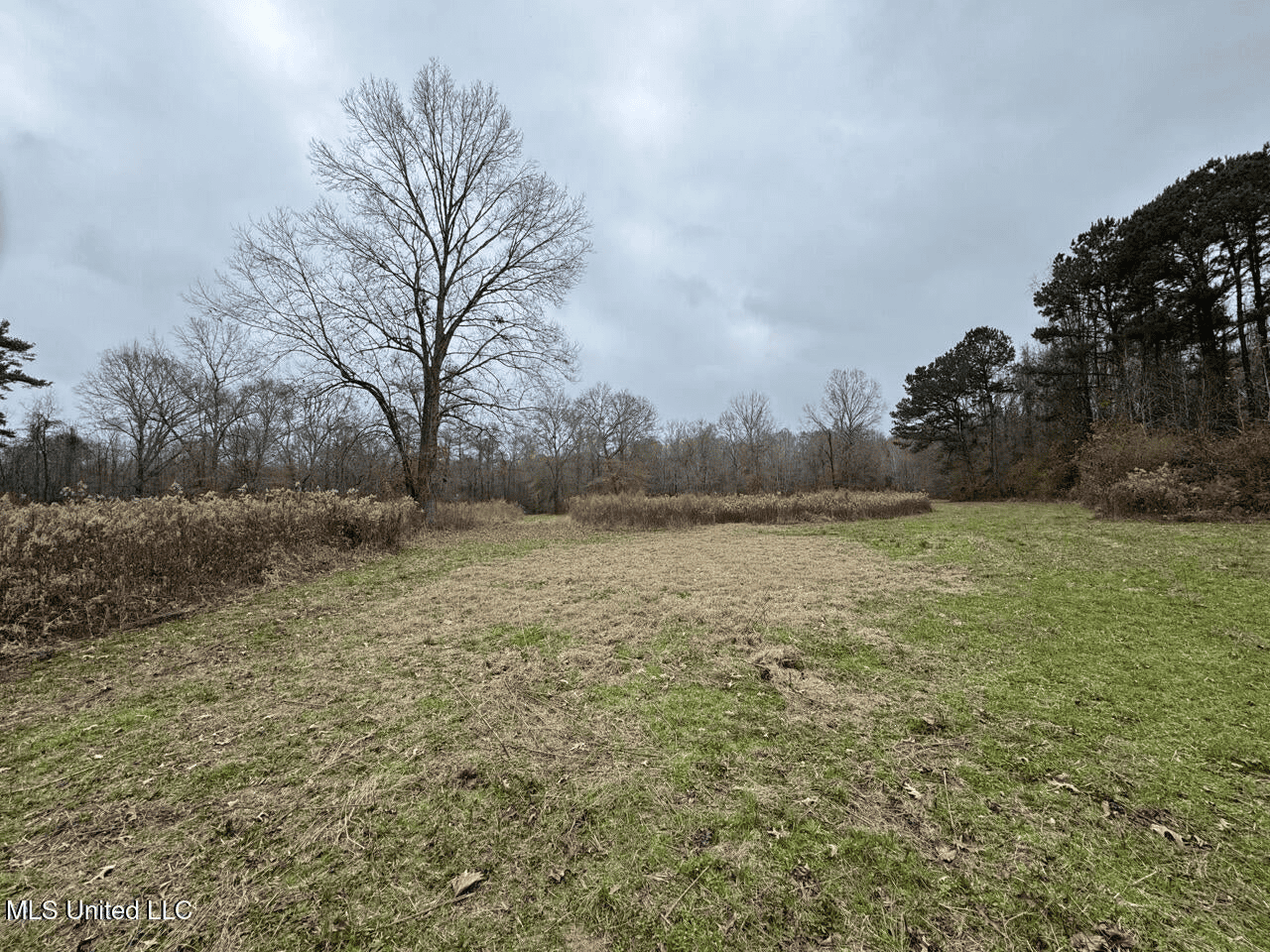 7035 Robertson Road Amite & Franklin County MS