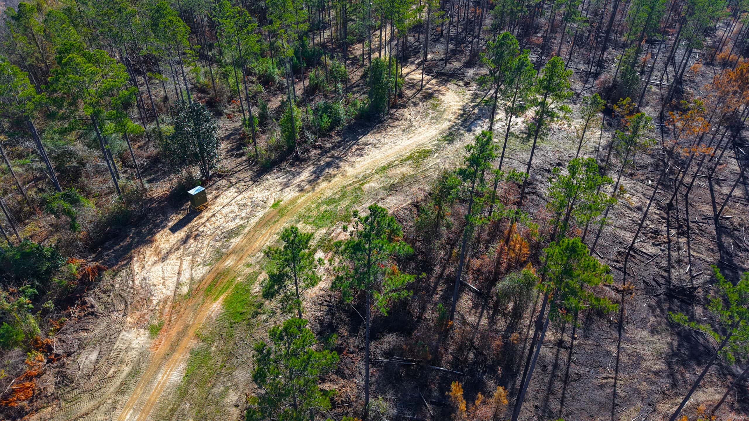 188 Acres for Sale in the Alabama River Bluff