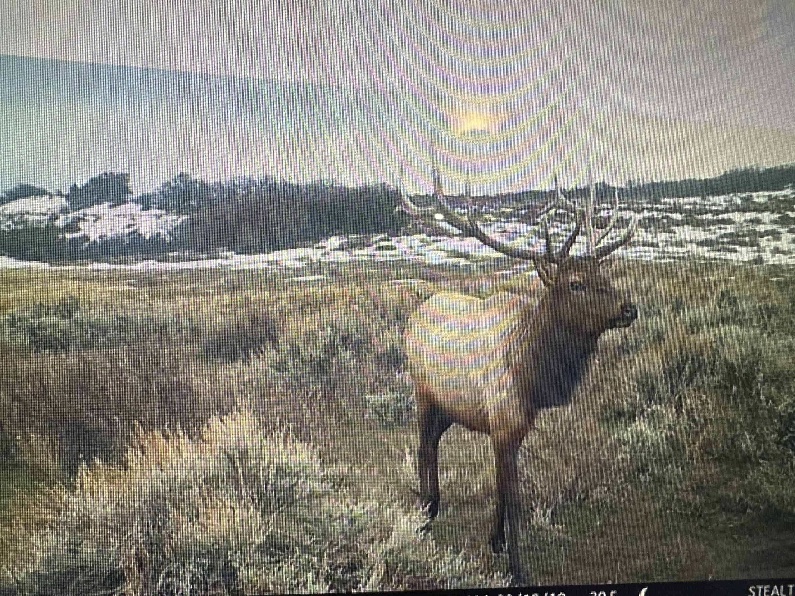 Bull Basin Meadows Ranch – Colorado Ranch in Collbran