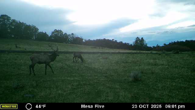 Bull Basin Meadows Ranch – Colorado Ranch in Collbran