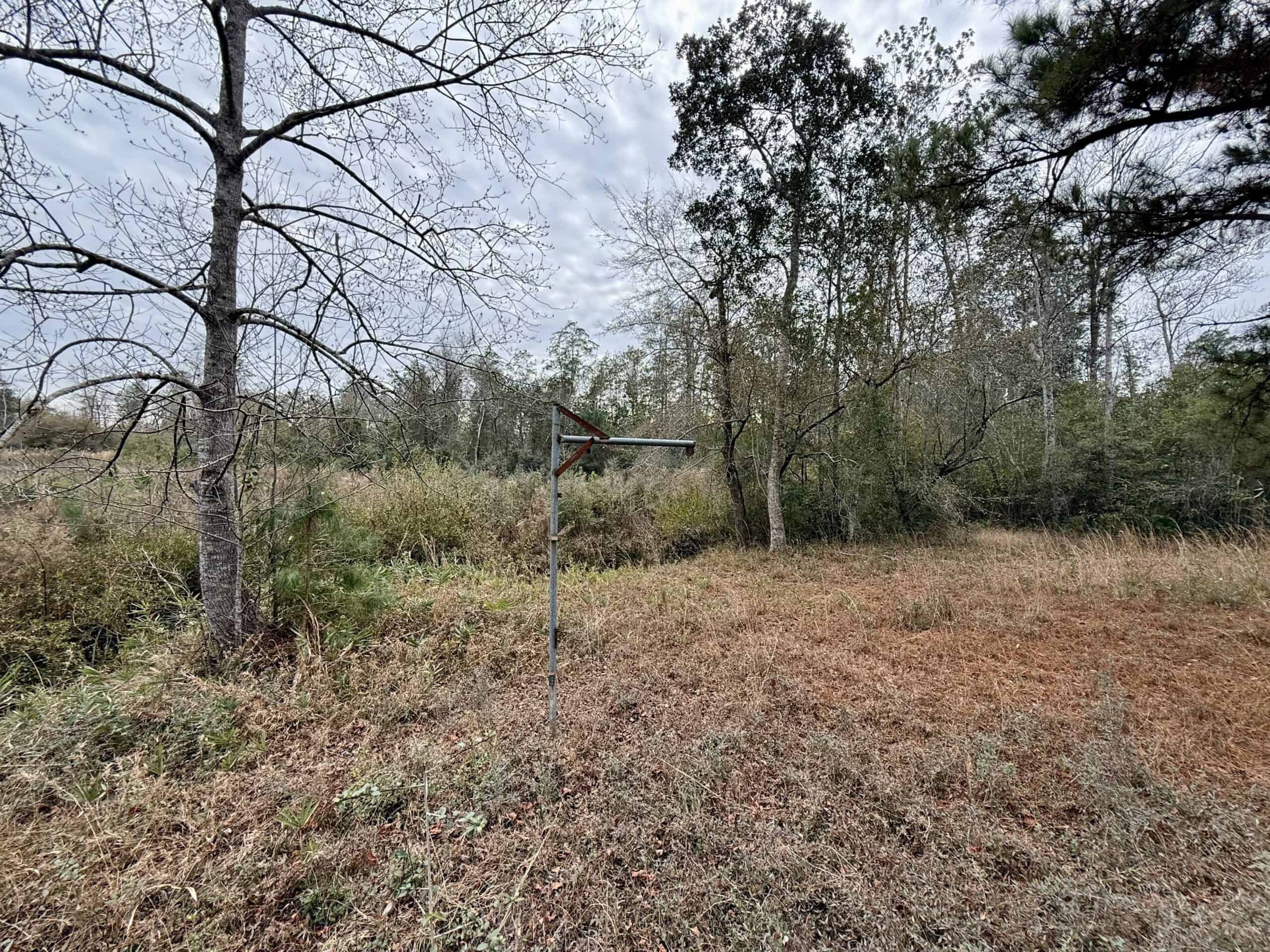 Rudd Sod Farm – 240 Acres in Alford, Florida – For Sale