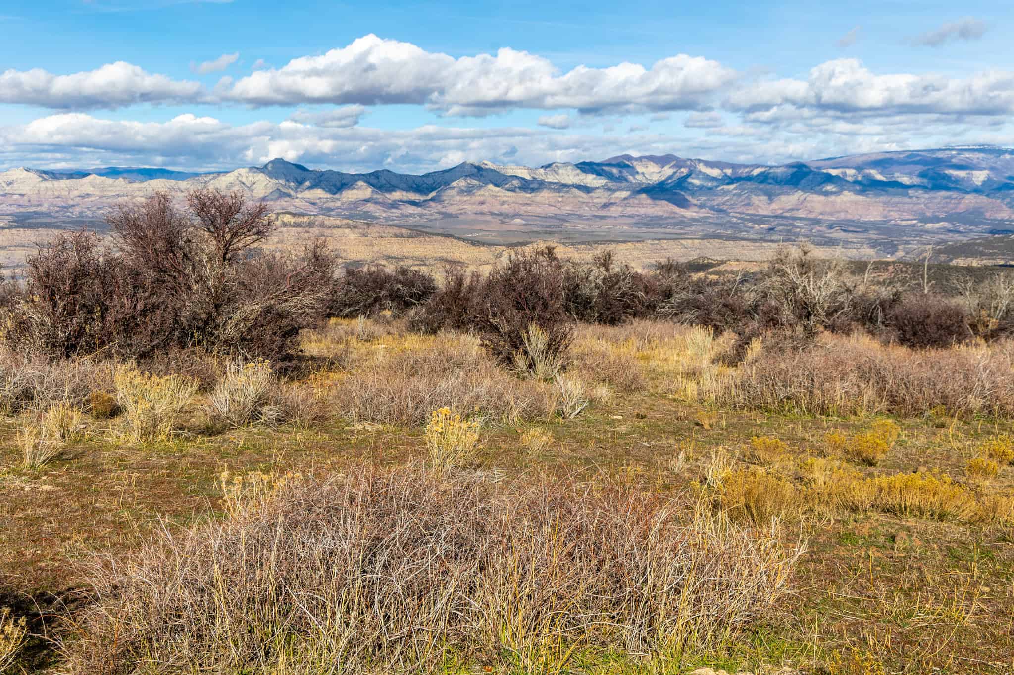 Bull Basin Meadows Ranch – Colorado Ranch in Collbran