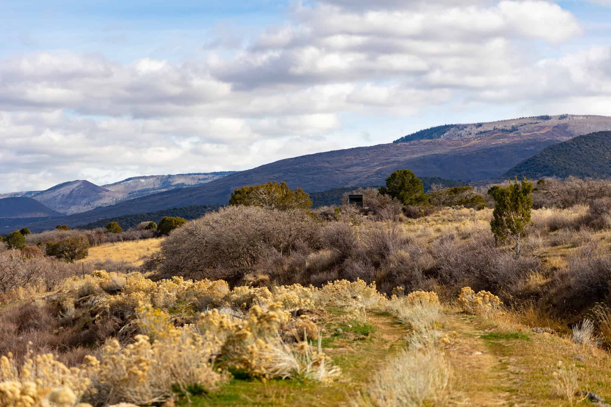 Bull Basin Meadows Ranch – Colorado Ranch in Collbran