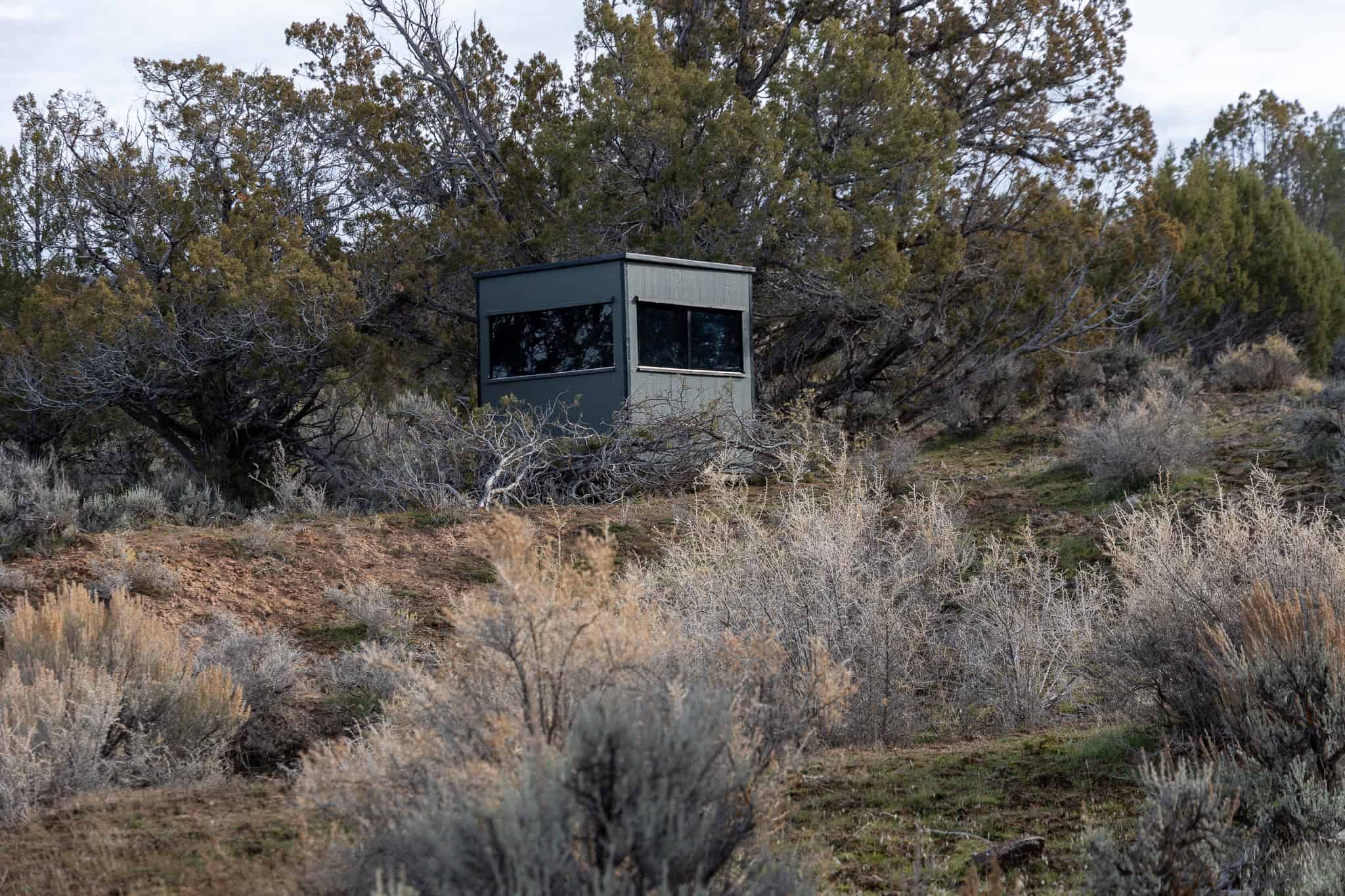 Bull Creek Ranch For Sale in Mesa, CO