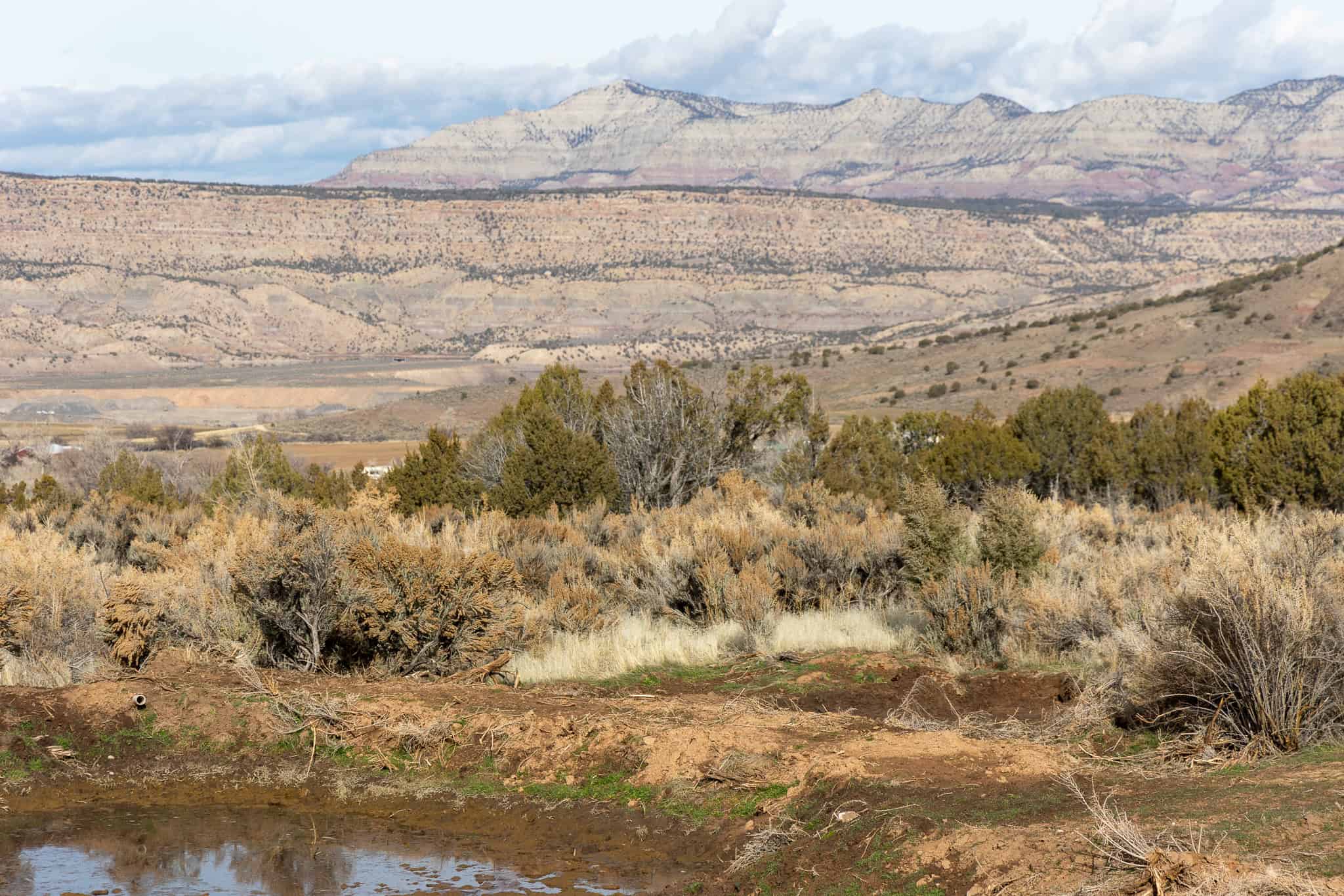 Bull Creek Ranch For Sale in Mesa, CO
