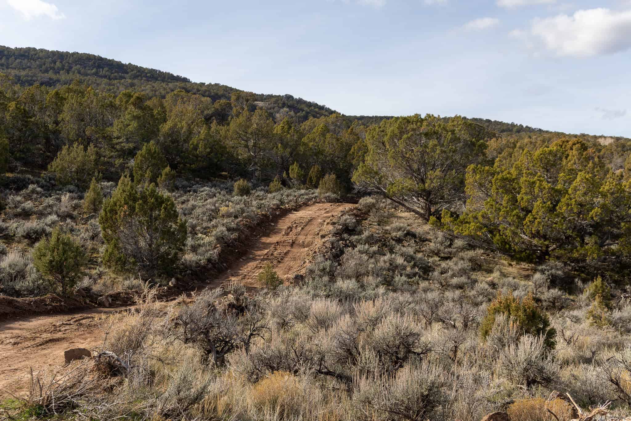Bull Creek Ranch For Sale in Mesa, CO