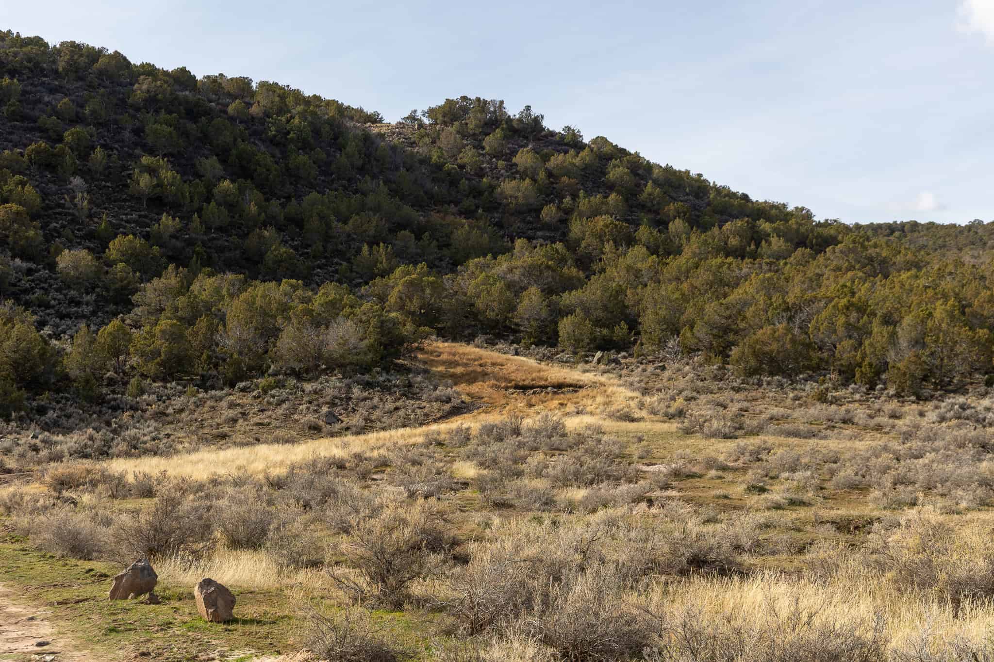 Bull Creek Ranch For Sale in Mesa, CO
