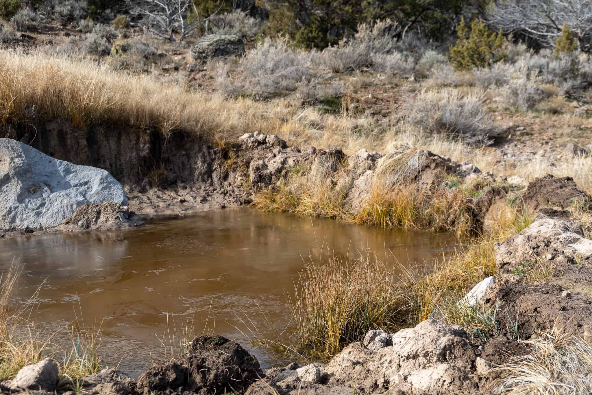 Bull Creek Ranch For Sale in Mesa, CO