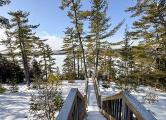 Waterfront Log Cabin on 16 Acres in Northern Maine