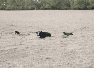 160 Acres in Lincoln County MS Near Brookhaven & I-55