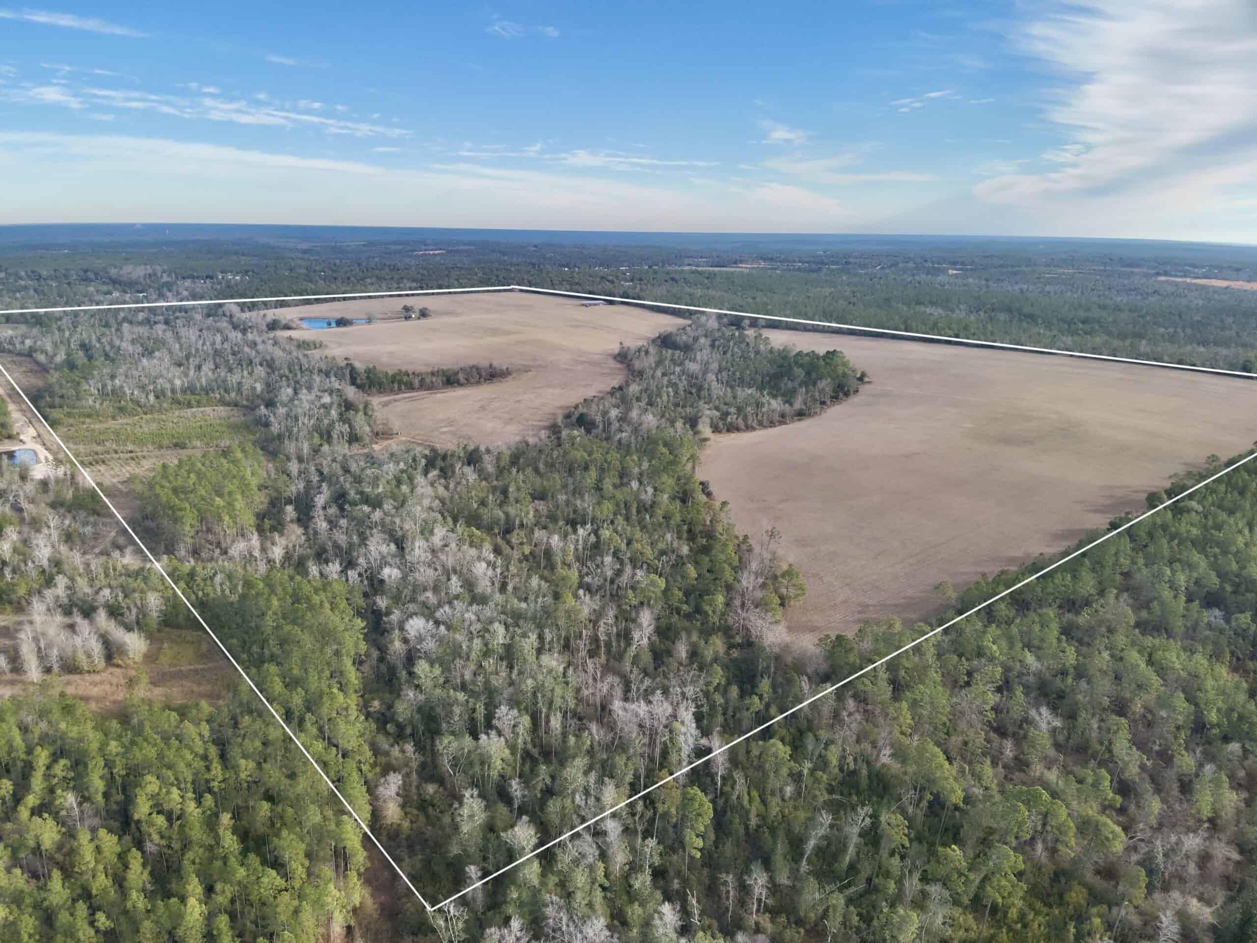 Rudd Sod Farm – 240 Acres in Alford, Florida – For Sale