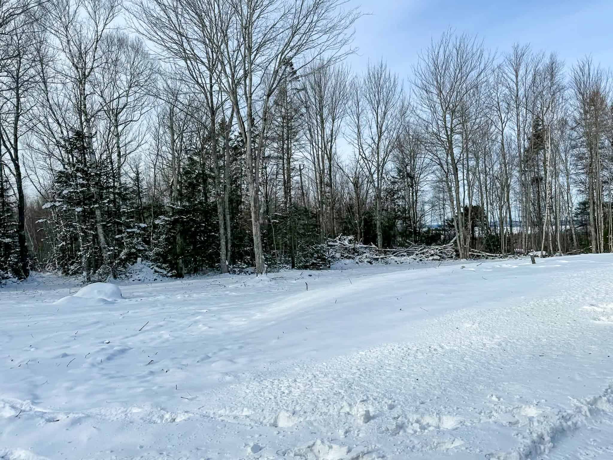 Home on 40+ Acres Overlooking Meddybemps Lake