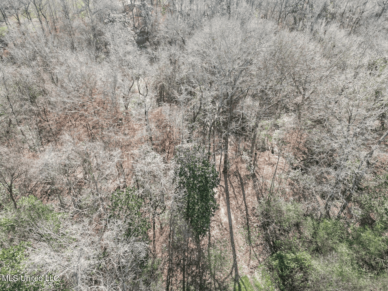 13645 LA Hwy 10, St. Francisville, LA Home on 19± Acres