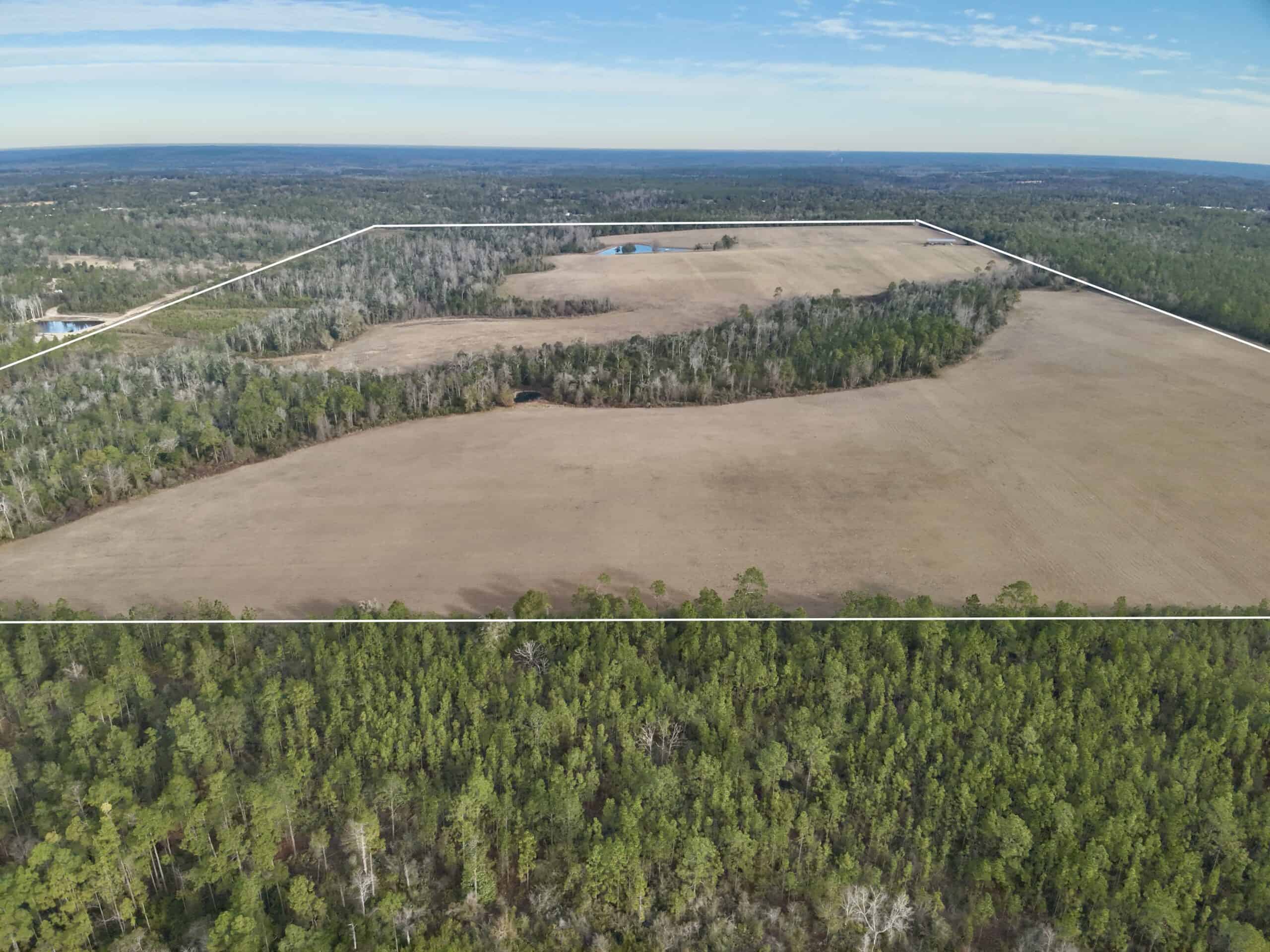 Rudd Sod Farm – 240 Acres in Alford, Florida – For Sale