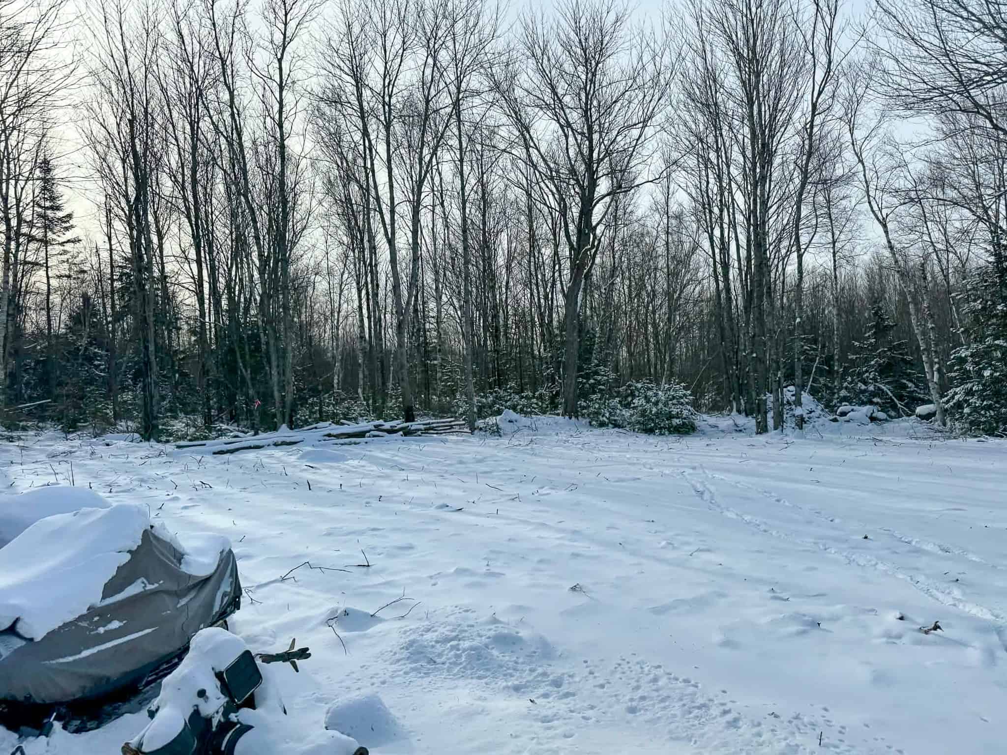 Home on 40+ Acres Overlooking Meddybemps Lake
