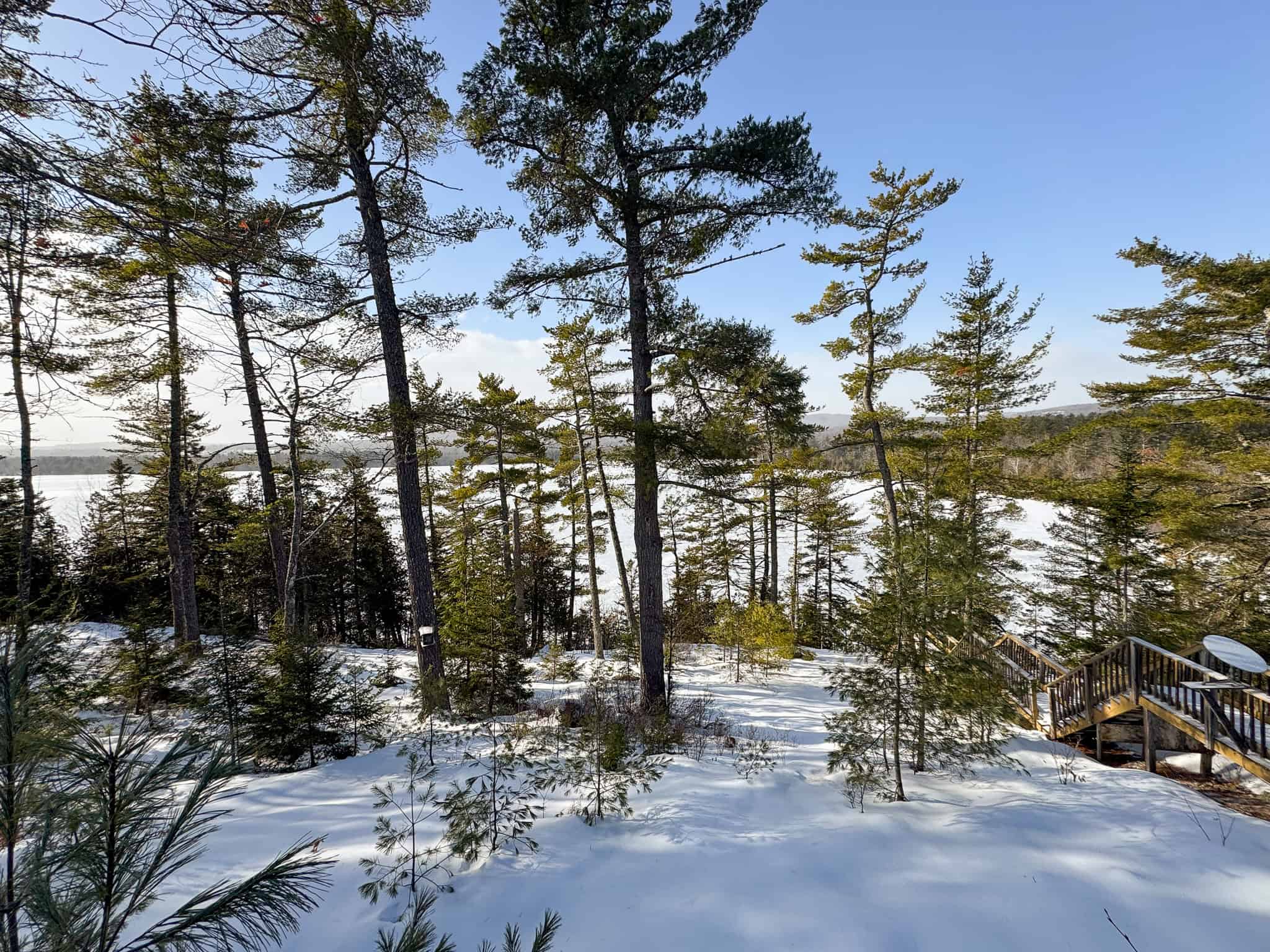 Waterfront Log Cabin on 16 Acres in Northern Maine