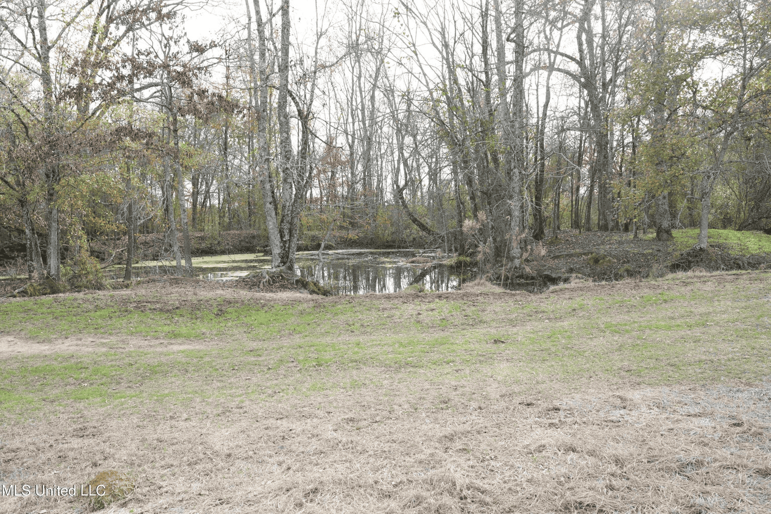 160 Acres in Lincoln County MS Near Brookhaven & I-55