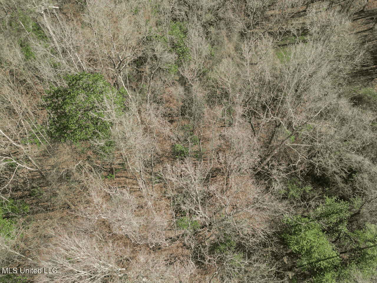 13645 LA Hwy 10, St. Francisville, LA Home on 19± Acres