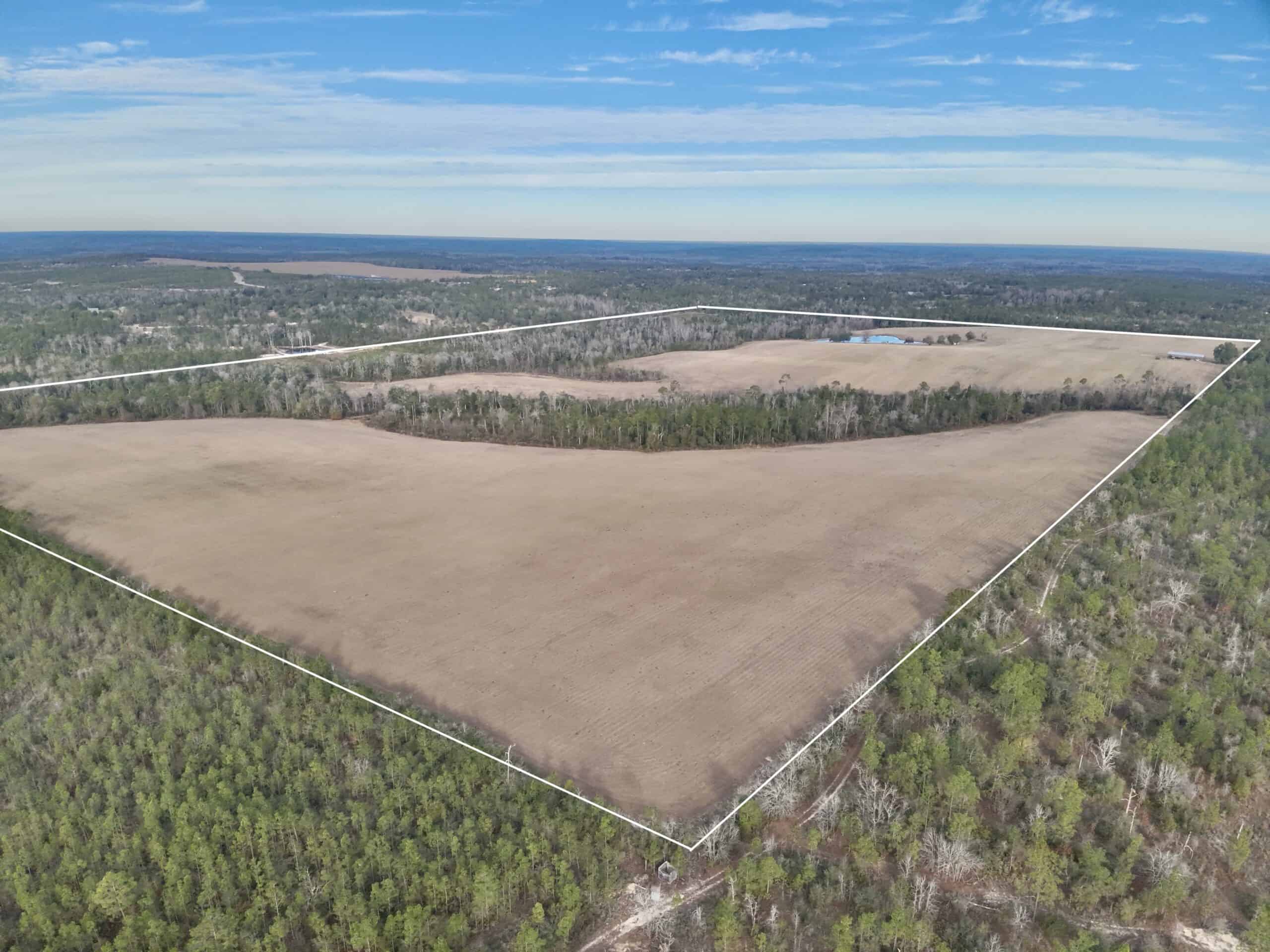 Rudd Sod Farm – 240 Acres in Alford, Florida – For Sale