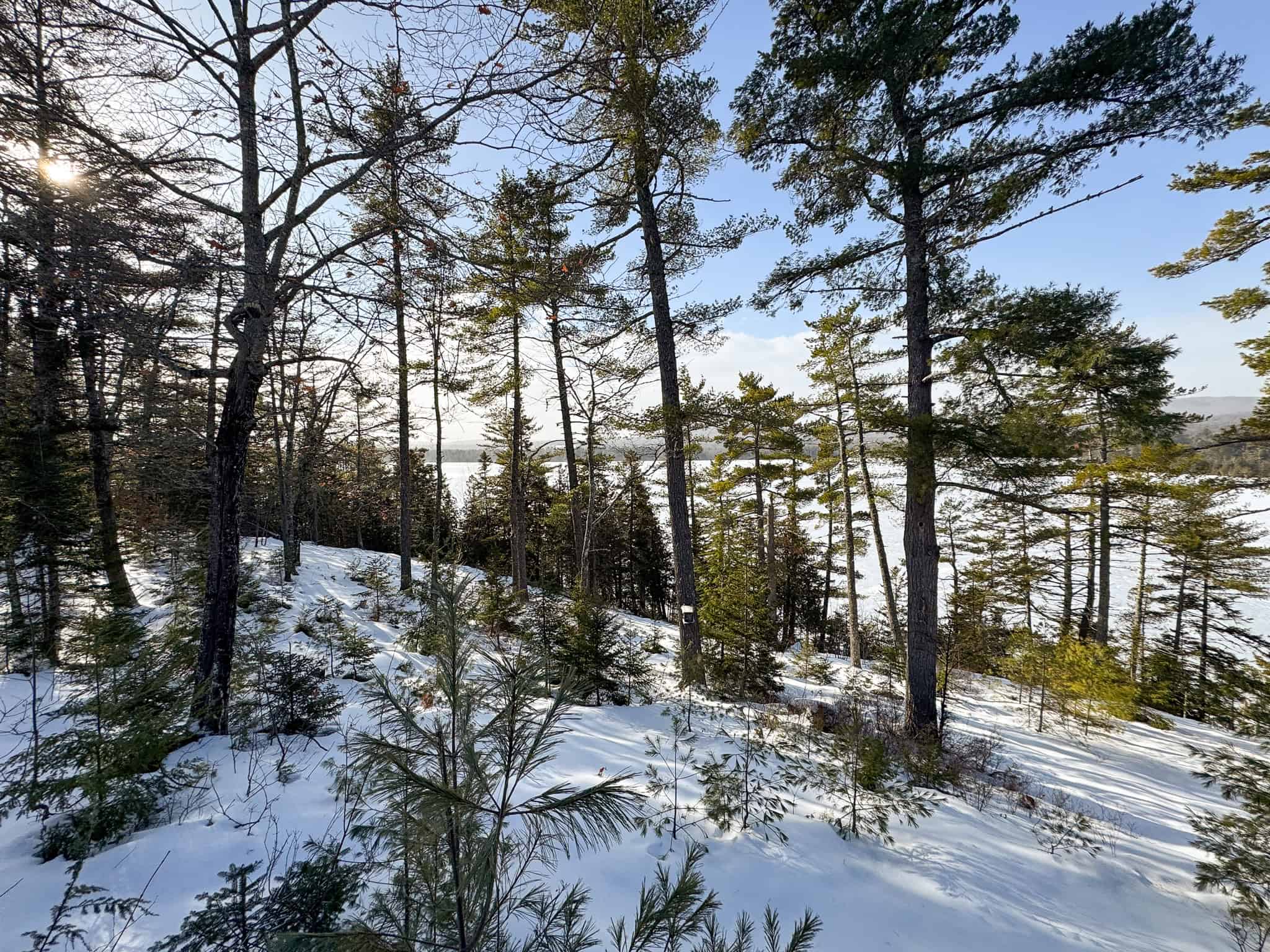 Waterfront Log Cabin on 16 Acres in Northern Maine