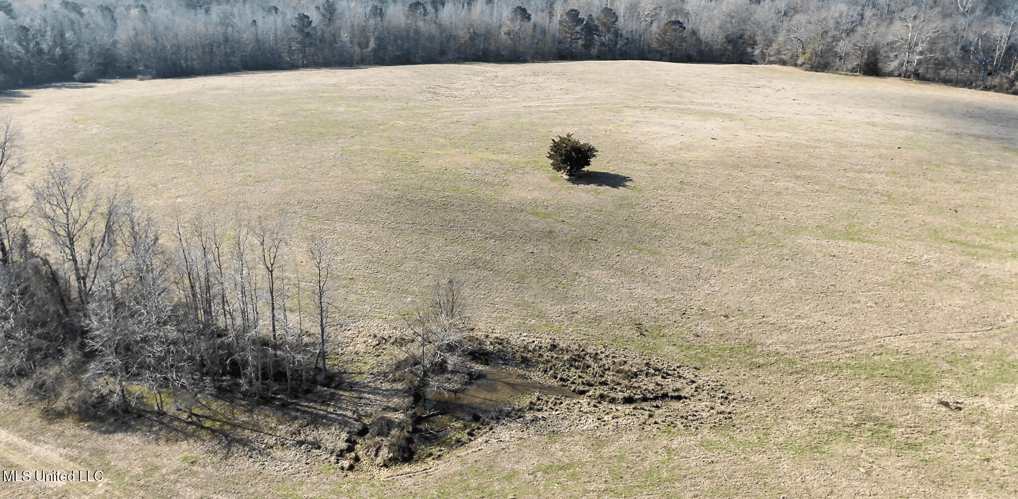 160 Acres in Lincoln County MS Near Brookhaven & I-55