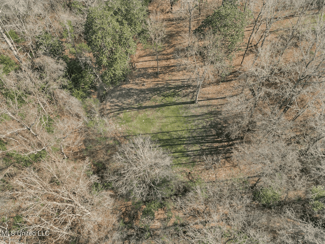 13645 LA Hwy 10, St. Francisville, LA Home on 19± Acres