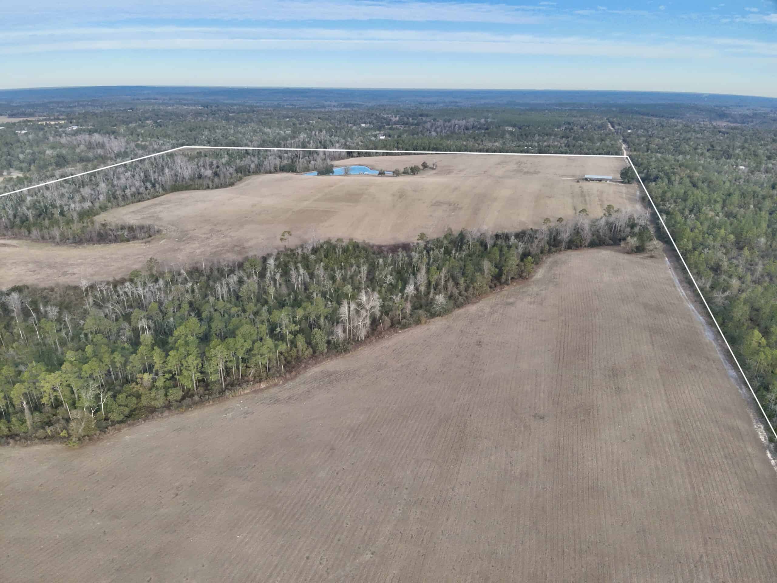 Rudd Sod Farm – 240 Acres in Alford, Florida – For Sale