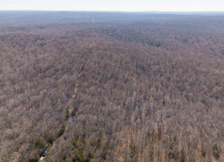 Prime Arkansas Ozarks Hunting Land