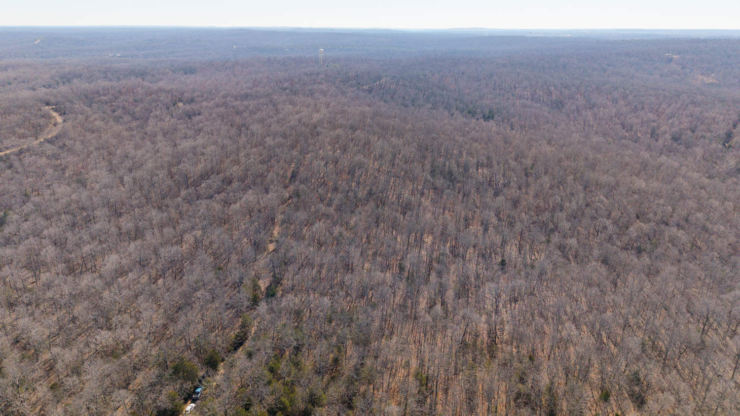 Prime Arkansas Ozarks Hunting Land