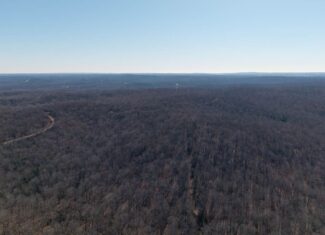Prime Arkansas Ozarks Hunting Land