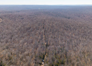 Prime Arkansas Ozarks Hunting Land
