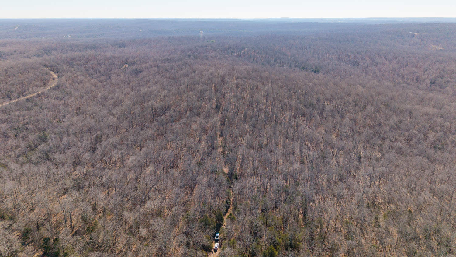 Prime Arkansas Ozarks Hunting Land