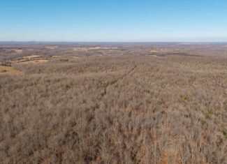 Prime Arkansas Ozarks Hunting Land