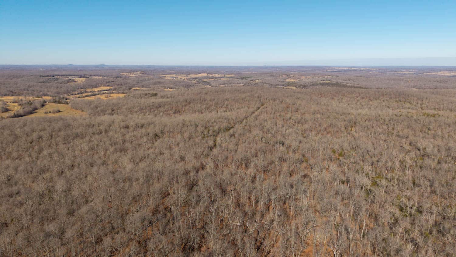 Prime Arkansas Ozarks Hunting Land