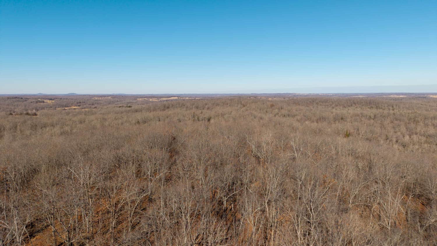 Prime Arkansas Ozarks Hunting Land