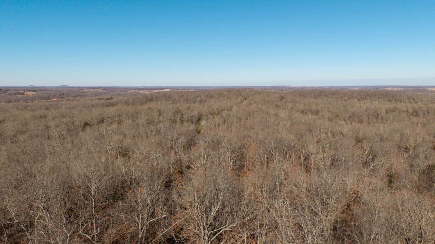 Prime Arkansas Ozarks Hunting Land