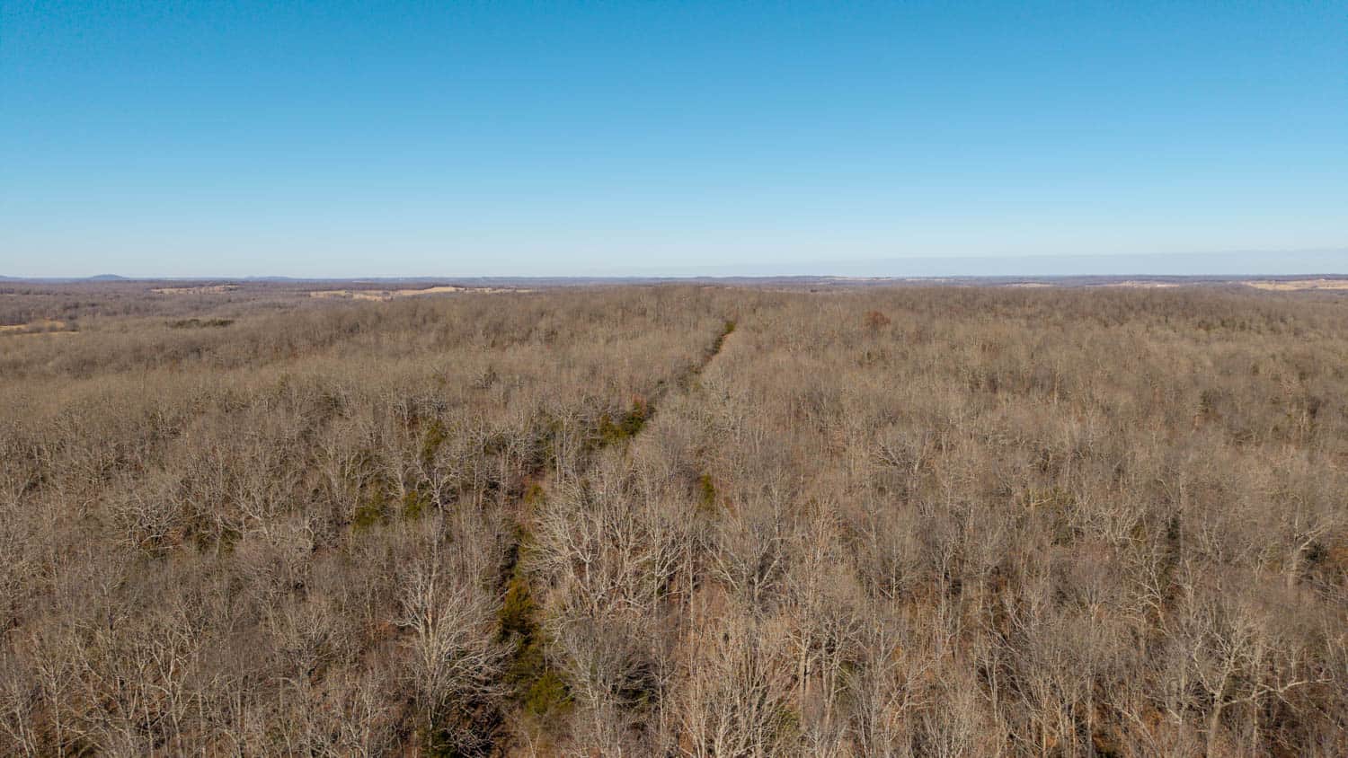 Prime Arkansas Ozarks Hunting Land