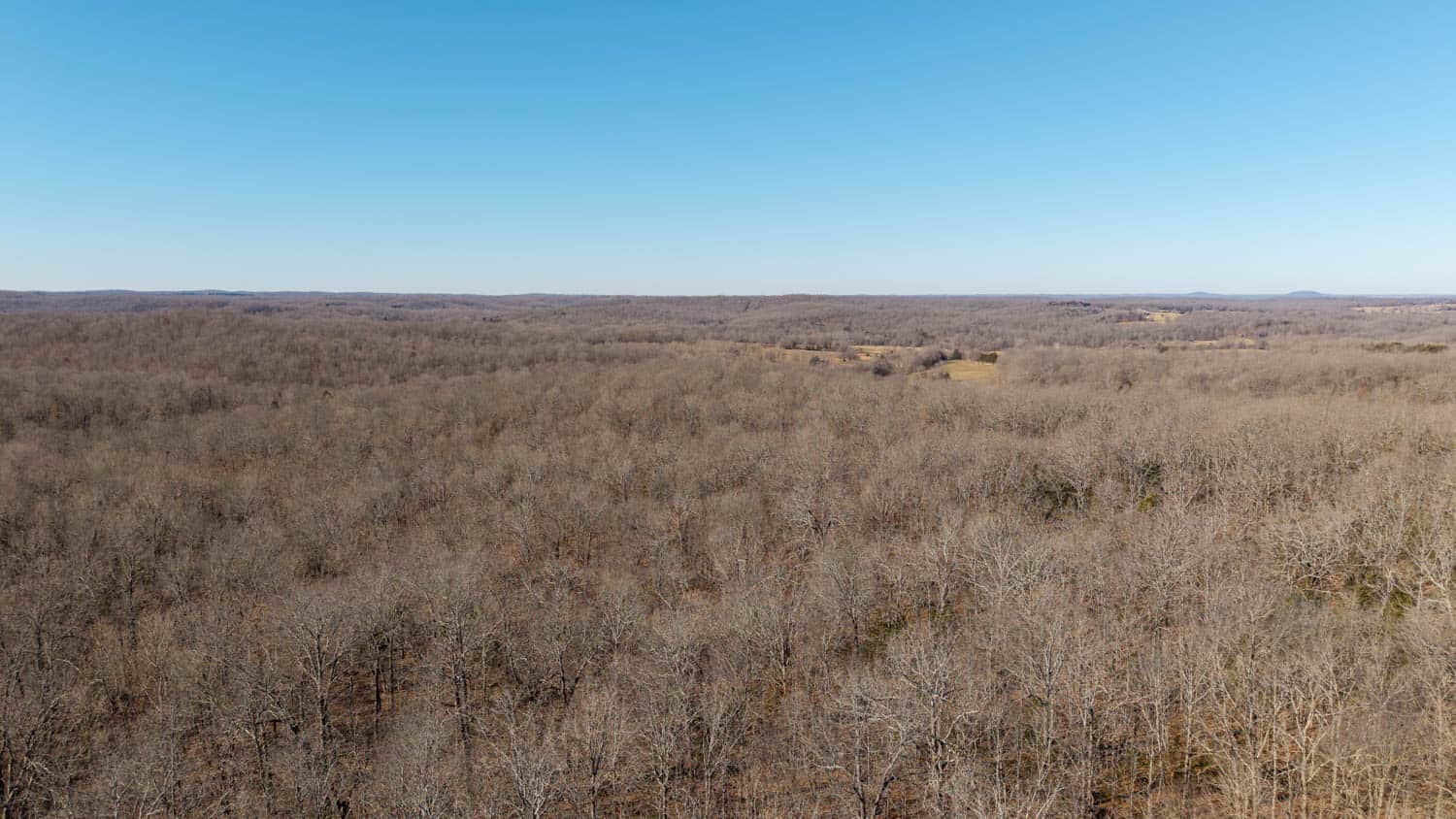 Prime Arkansas Ozarks Hunting Land