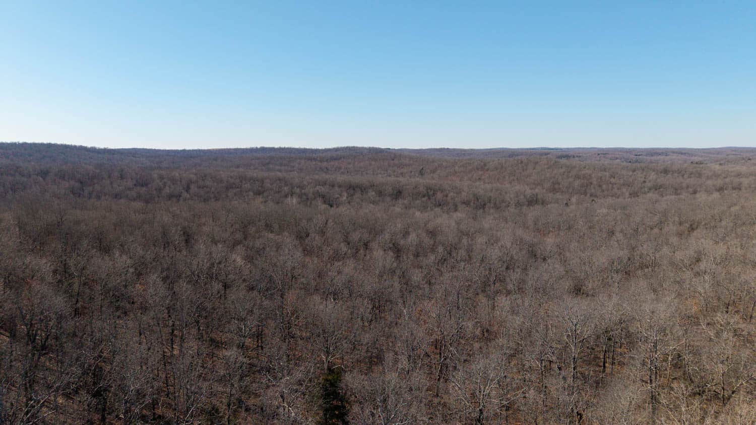 Prime Arkansas Ozarks Hunting Land