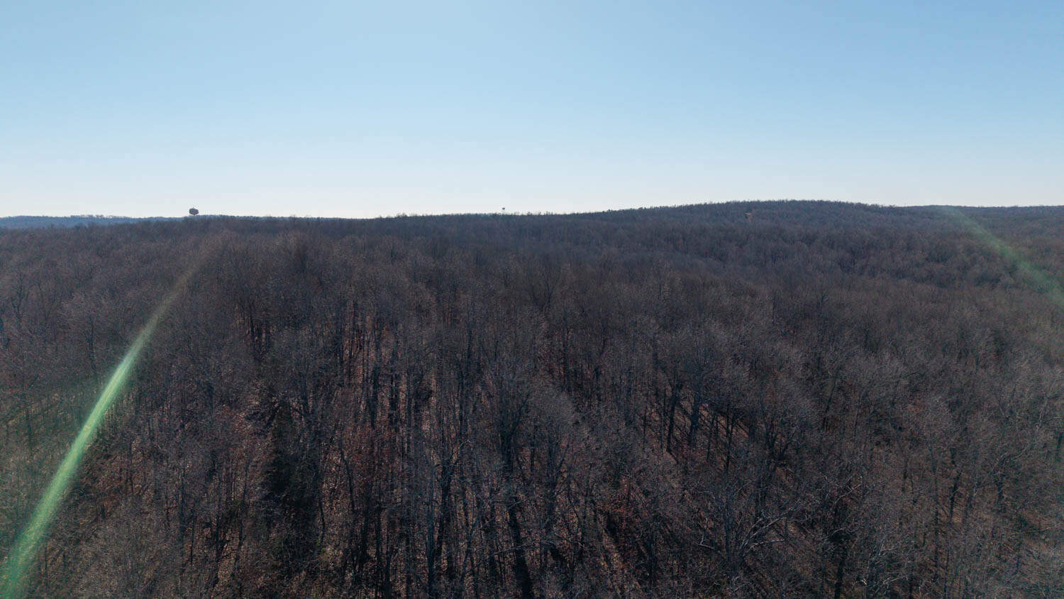 Prime Arkansas Ozarks Hunting Land