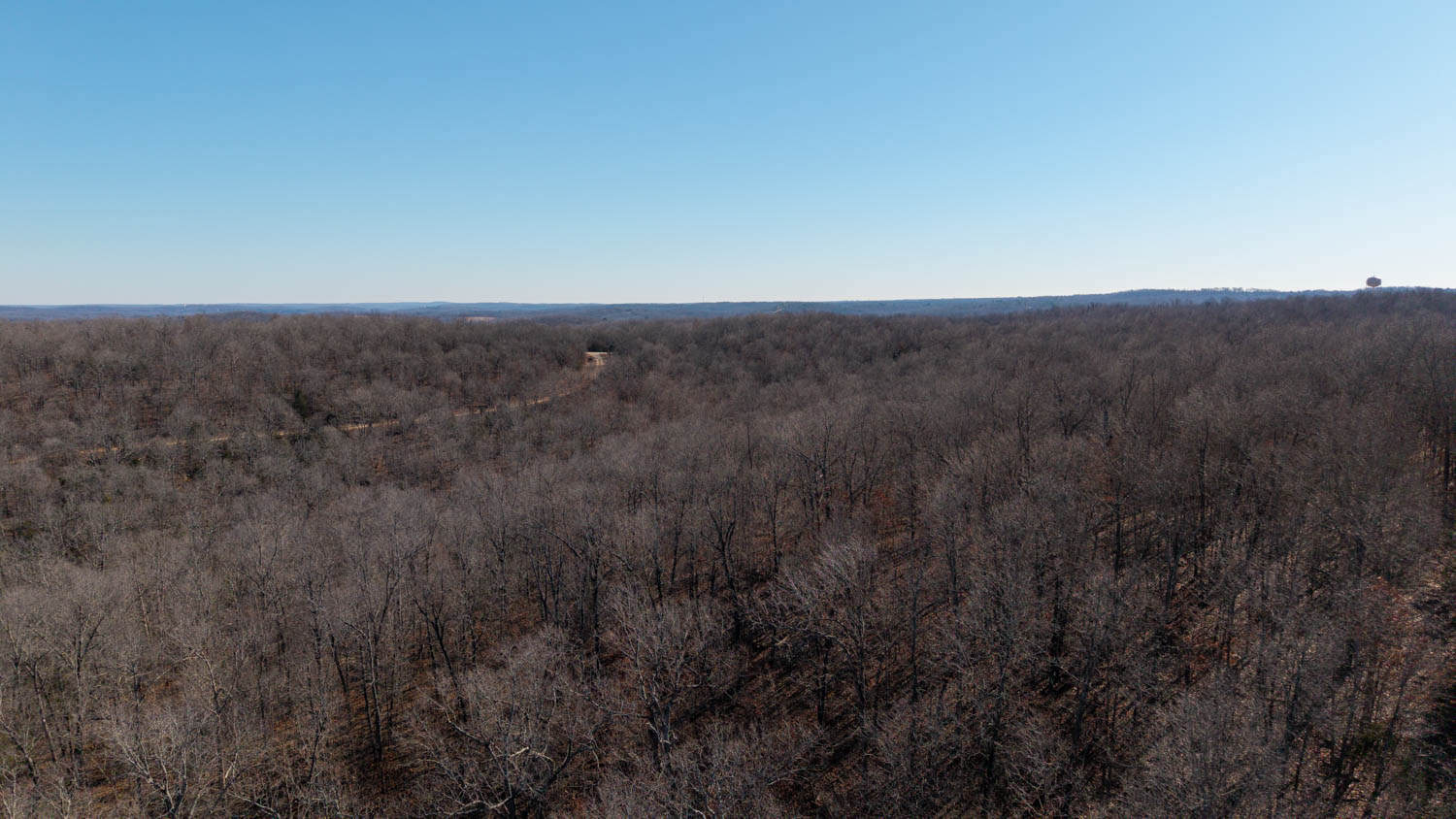 Prime Arkansas Ozarks Hunting Land