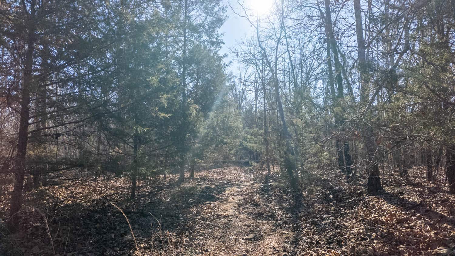 Prime Arkansas Ozarks Hunting Land