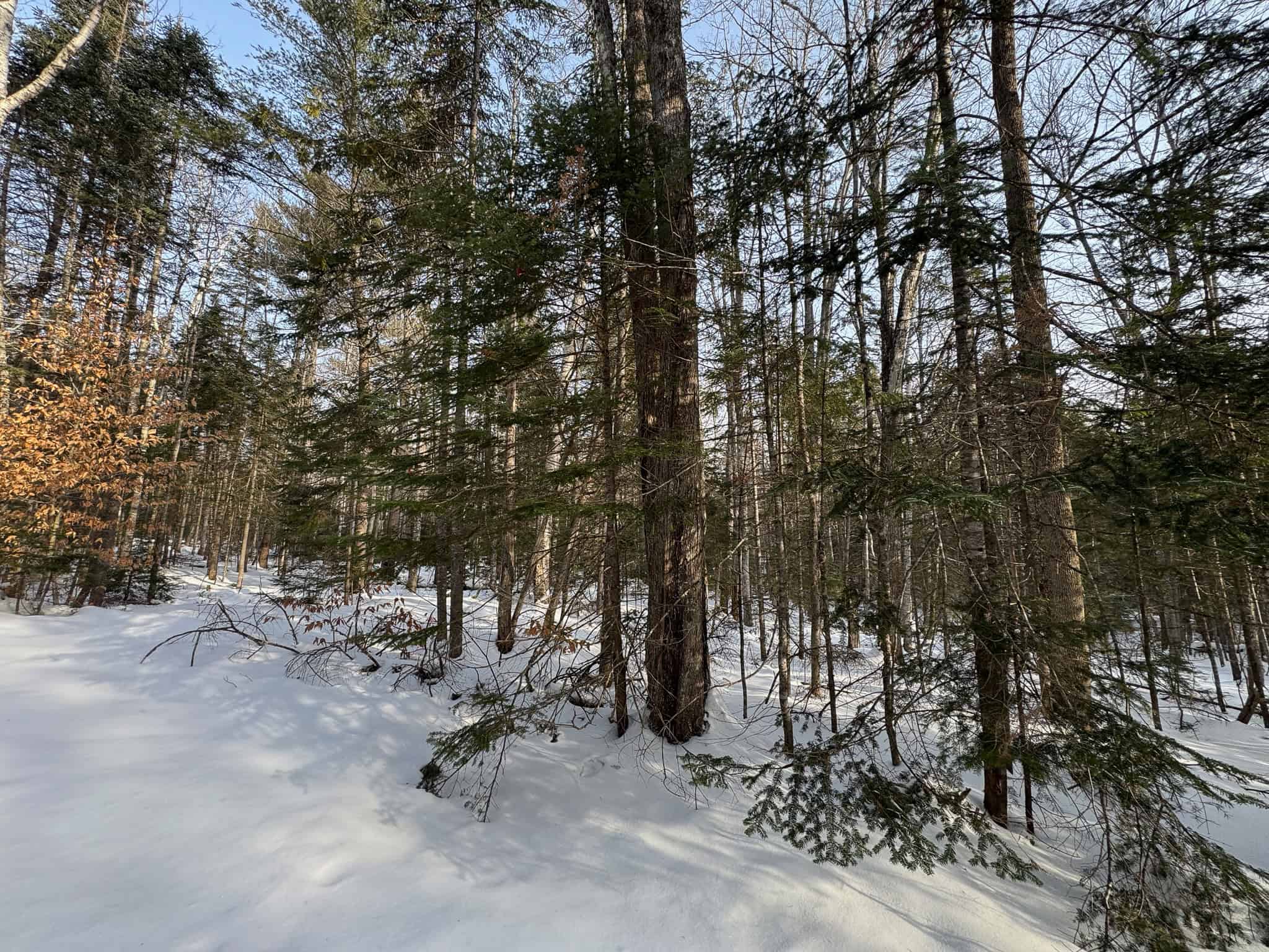 Waterfront Log Cabin on 16 Acres in Northern Maine