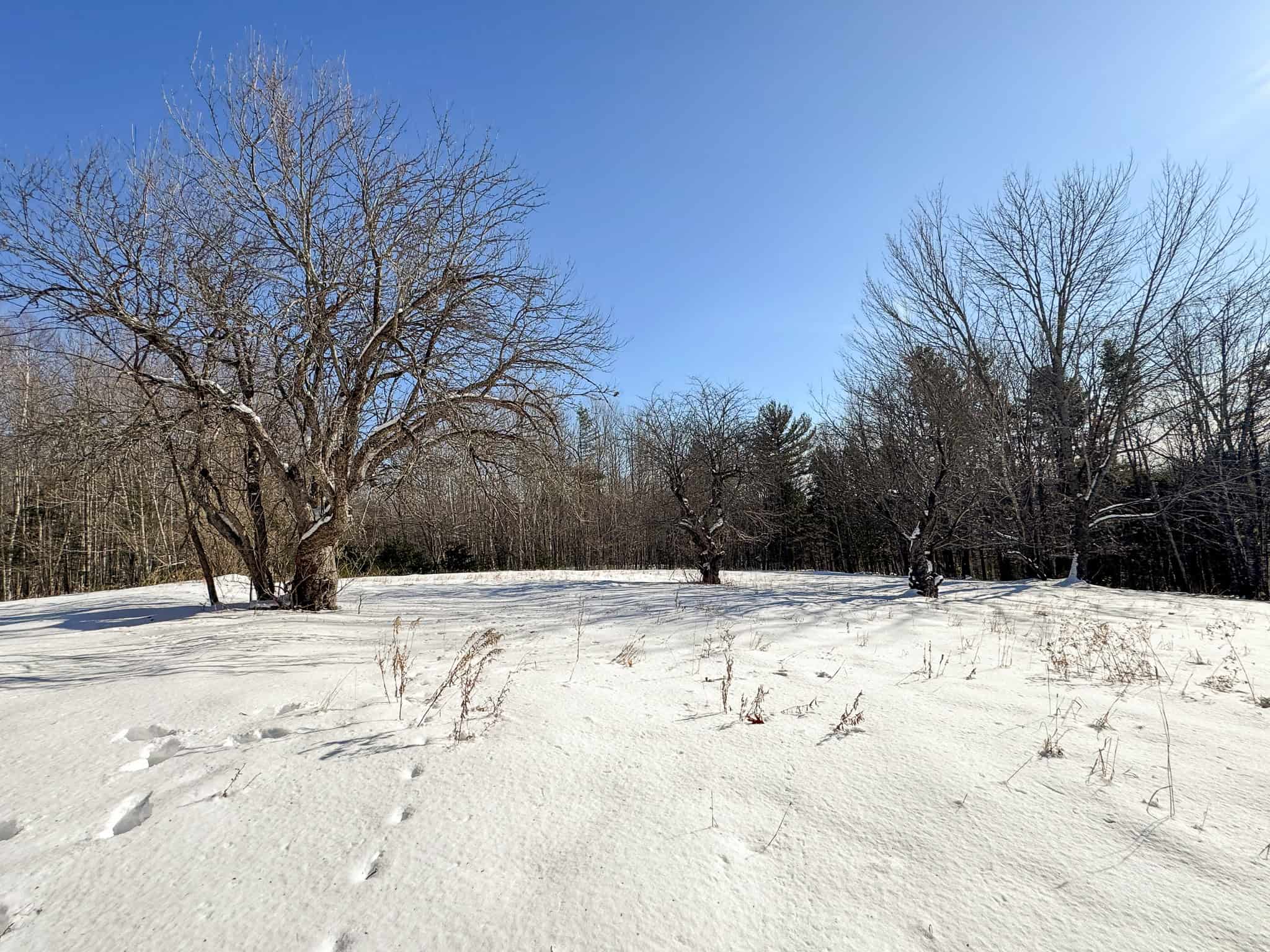 Chalet on 192 Acres with Stunning Mountain and Water Views